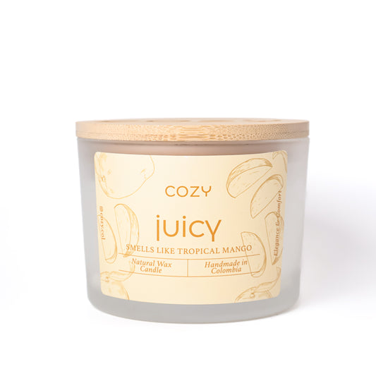 13-VELA ARTESANAL JUICY